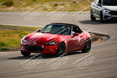 media/Feb-17-2024-Extreme Speed (Sat) [[f2f02d613c]]/Green Group/Session 3 (Turn 4)/